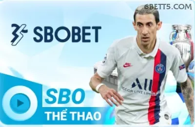 eSports 6bet